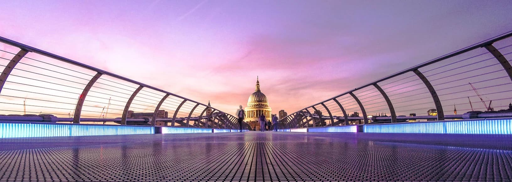 People working on laptops